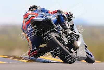 media/Oct-09-2022-SoCal Trackdays (Sun) [[95640aeeb6]]/Turn 9 Backside (120pm)/